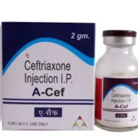 EN-CEF-2GM (INJECTION